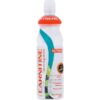 Carnitine Activity Drink – 750 ml, eukalyptus-kiwi