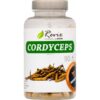 Cordyceps